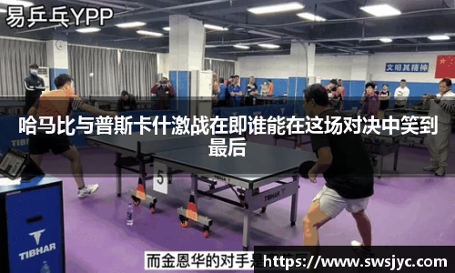优游国际