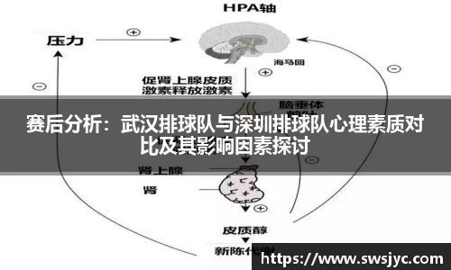 赛后分析：武汉排球队与深圳排球队心理素质对比及其影响因素探讨